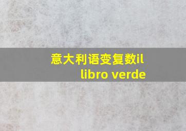 意大利语变复数il libro verde